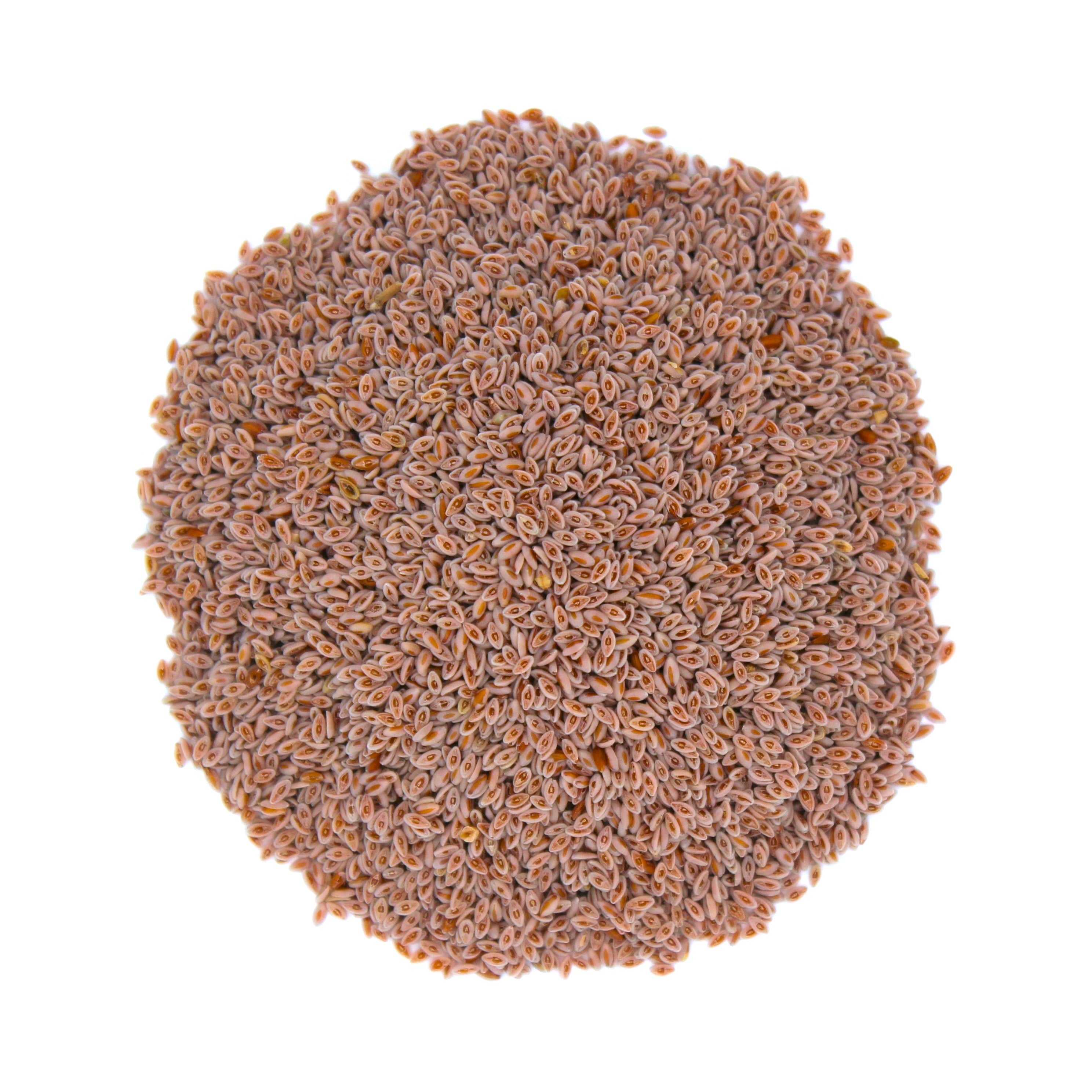 Psyllium Seeds, Botanical Name: Plantago ovata
Common Names: Blond Plantain, Desert Indian Wheat, Blond Psyllium, Ispaghula, Isabgol, Flea Seed, Plantago Seed, Indian Plantago Seed, Bazaar Isabgol Seed, Desert Indianwheat Seed.