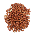 Red Skin Peanut