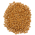 Chickpea (Salted)
