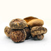 Shiitake Mushrooms
