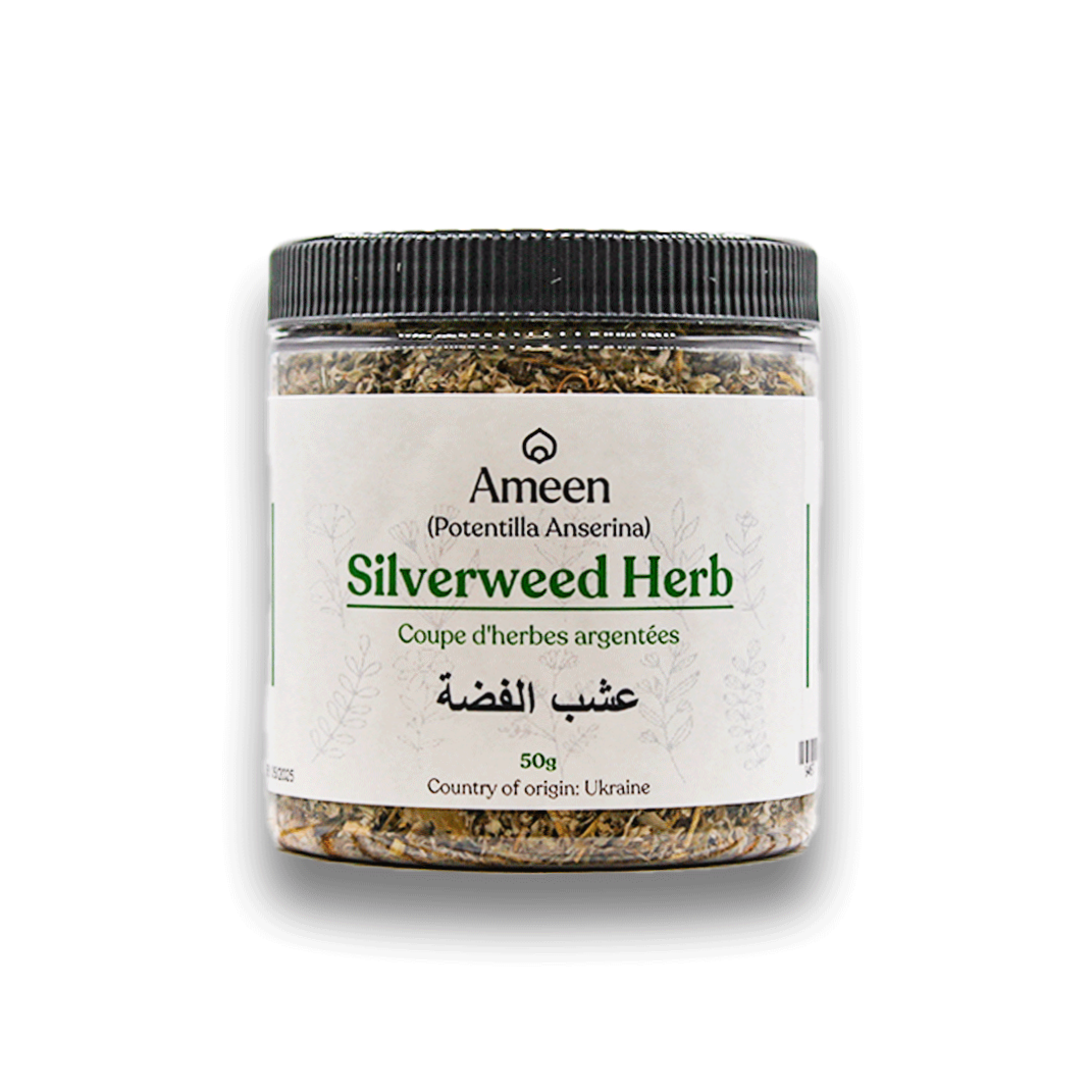 Botanical Name: Potentilla anserina
Common Names:

English: Silverweed, Goosegrass, Wild Tansy, Common Silverweed
French: Pied de Chien, Anserine
German: Silberkraut, Gänsefingerkraut
Scandinavian: Gässört (Swedish), Gåsefot (Norwegian), Hanensfot (Danish)
Other Names: Goose-tansy, Marsh Potentilla, Moor Grass, Wild Gooseweed, Anserine Goosefoot, Sormisara, Suokki