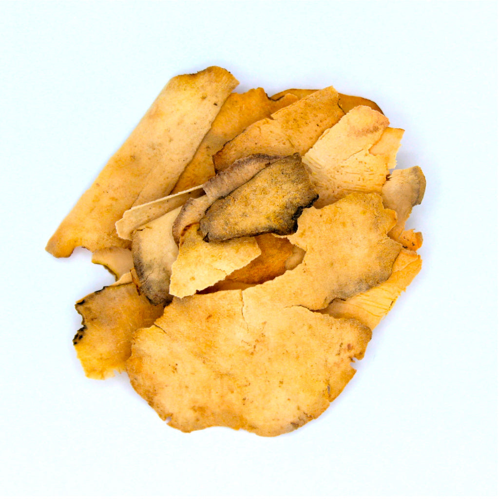 Botanical Name:&nbsp;Smilax Glabra

Also known as: Smilax Root, Sarsaparilla Root, Zarzaparrilla Root, Jamaican Sarsaparilla Root, Honduran Sarsaparilla Root, Mexican Sarsaparilla Root, Jamaican Smilax Root, Red Smilax Root, Smilax officinalis Root, Smilax medica Root, Smilax ornata Root, Smilax regelii Root, Smilax china Root, Smilax febrifuga Root, Smilax aspera Root, Smilax glabra Root, Smilax aristolochiifolia Root, Smilax hispida Root, Smilax aspera var. mauritiana Root, Smilax china Root, Smilax nippo