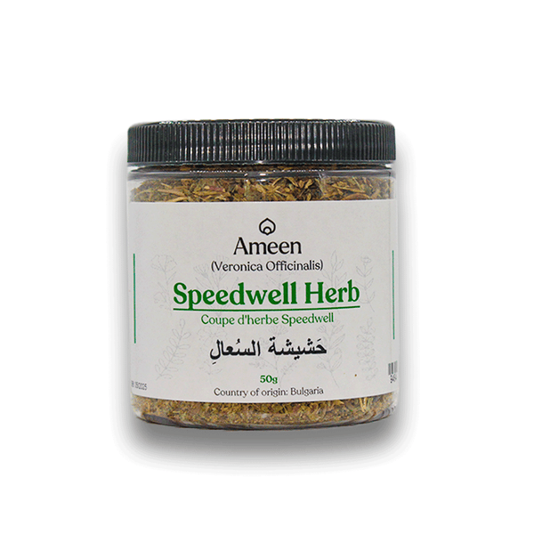 Speedwell Herb