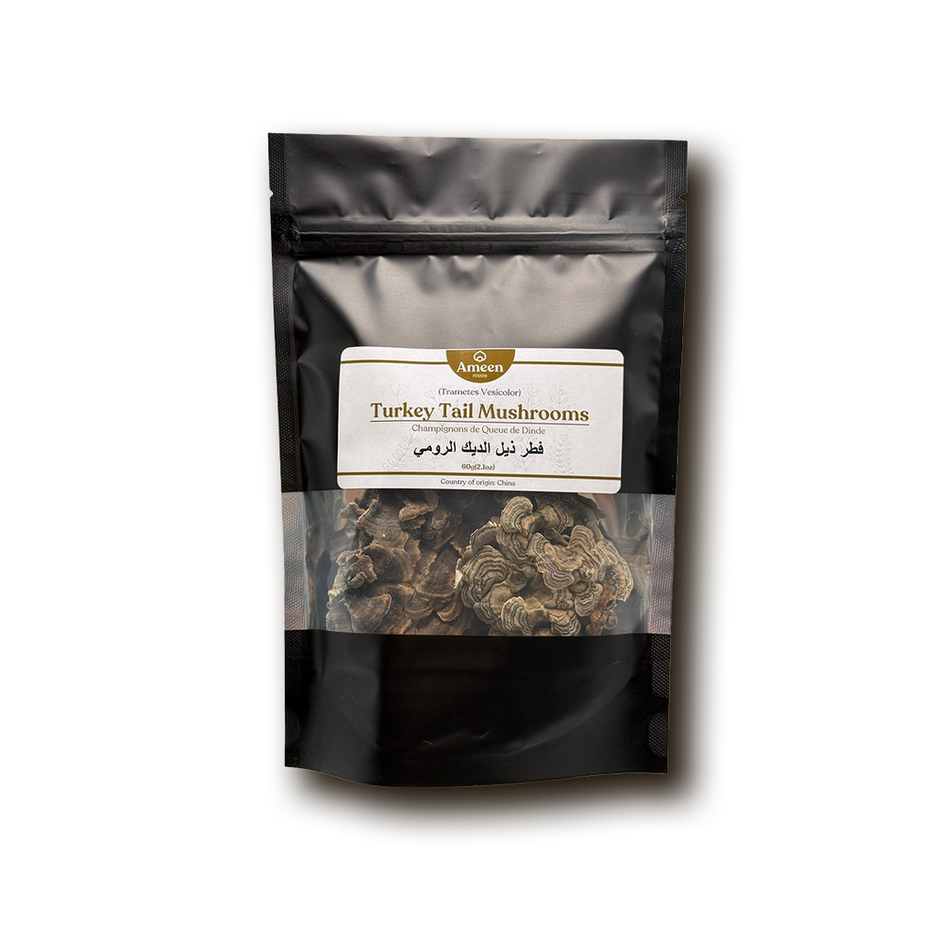 Turkey Tail Mushroom