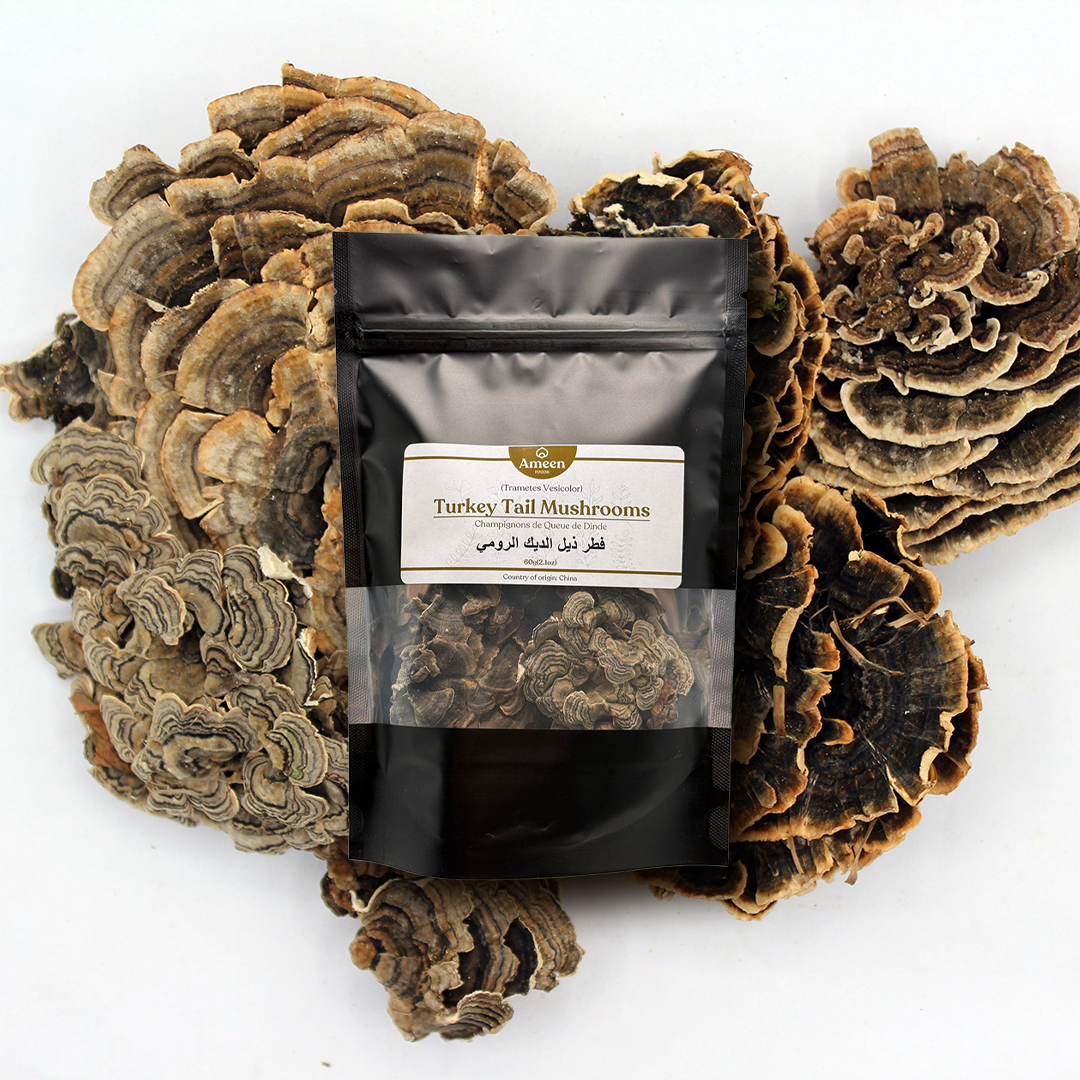 Turkey Tail Mushroom