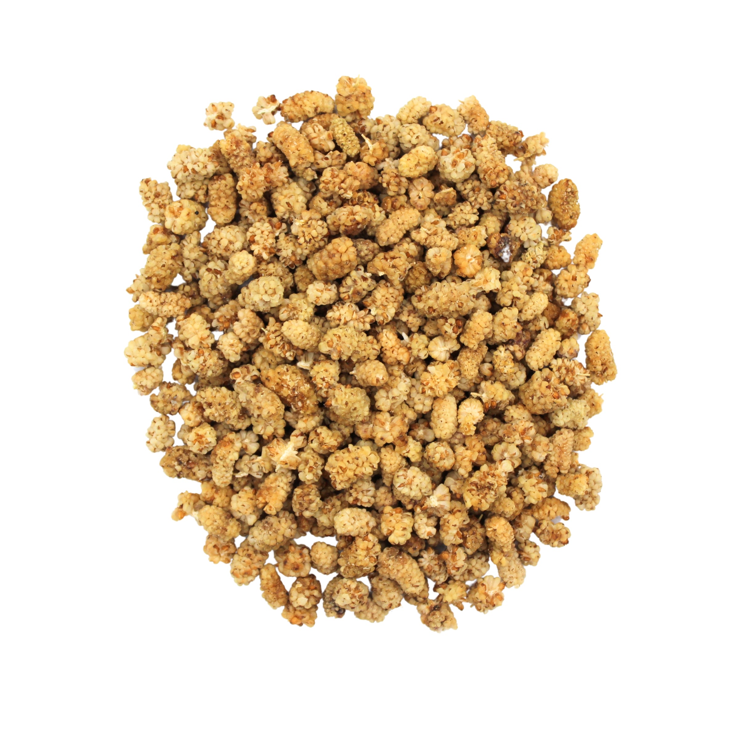 Botanical Name: Morus alba
Common Names: White Mulberries, Dried White Mulberries, Persian Mulberries, Tut
Global Names:
Arabic: توت أبيض مجفف
Persian: توت خشک
Turkish: Dut Kurusu
Chinese: 白桑葚
Hindi: सफेद शहतूत
French: Mûres Blanches Séchées
Spanish: Moras Blancas Secas
German: Getrocknete Weiße Maulbeeren