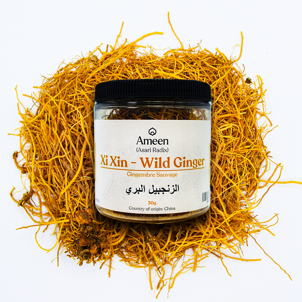 Botanical Name: Herba cum Radix Asari

Common Names:

Chinese: 细辛 (Xi Xin)
English: Wild Ginger, Chinese Wild Ginger, Indian Snakeroot, Himalayan Wild Ginger
French: Grappes Noyaux, Gingembre Sauvage
Other: Asarum Sieboldii, Mansoori Root, Xie Cao, Gingerwort, Canadian Snakeroot
