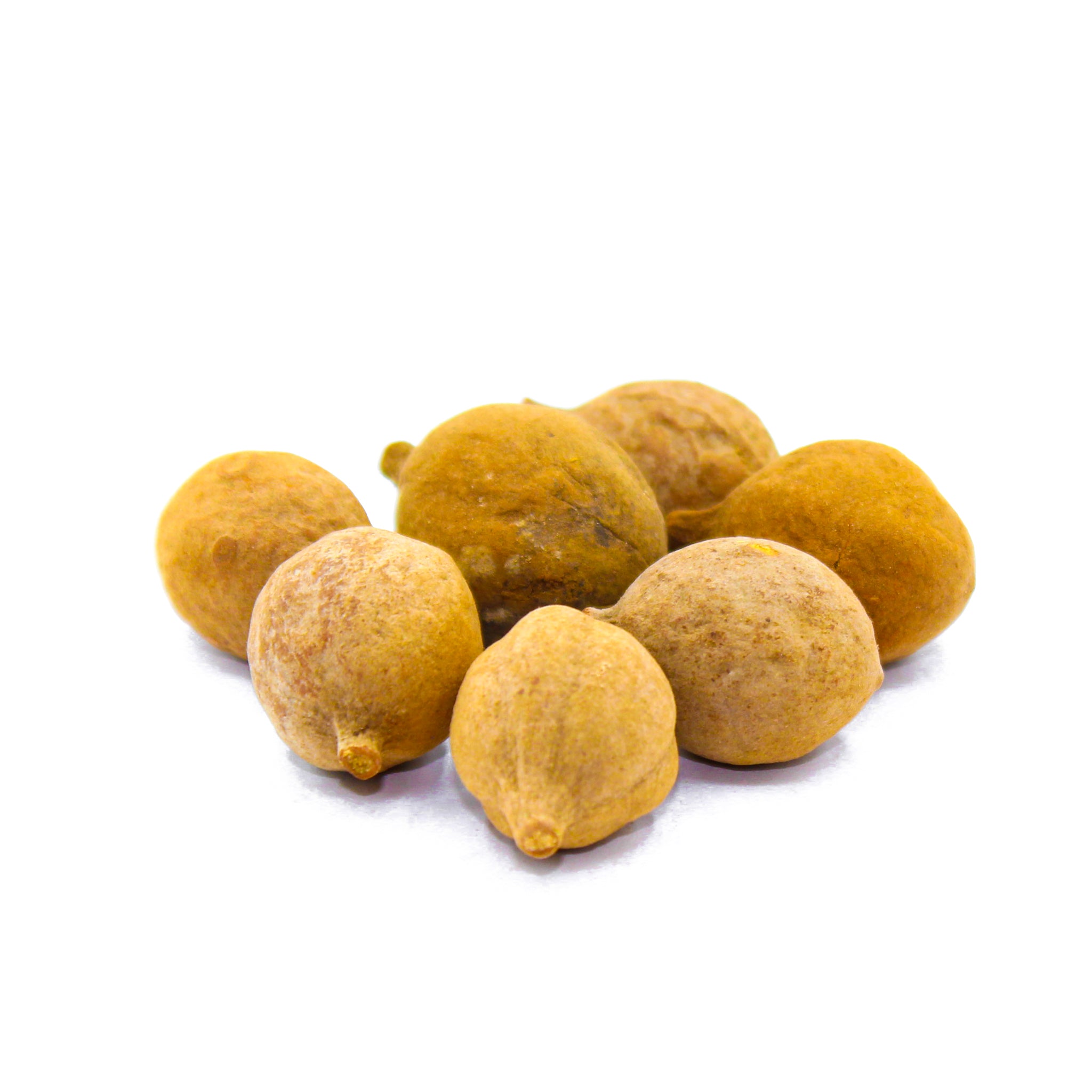 Bibhitaki,&nbsp;Terminalia bellirica, Bahera, Beleric, Baheda Fruit, Beheda, Barro, Thani, Aksha, Vibhitaki, Bastard Myrobalan, बहेड़ा , بہیرہ , Kadukkai , Baheda Kaya , Baheda Puli, and Tanikaya