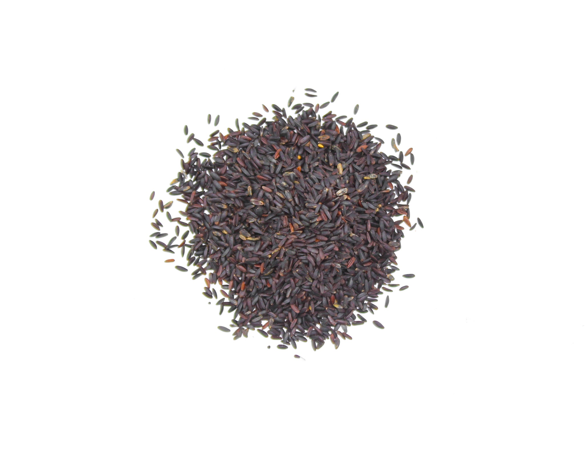 Basil Seeds, Sabja seeds, Falooda seeds, Thai basil seeds, Selasih, Hột é, Basilicumzaad, Basilikumsamen, Graine de basilic, Grano di basilico, Semilla de albahaca, Manjericão sementes, Reihaan