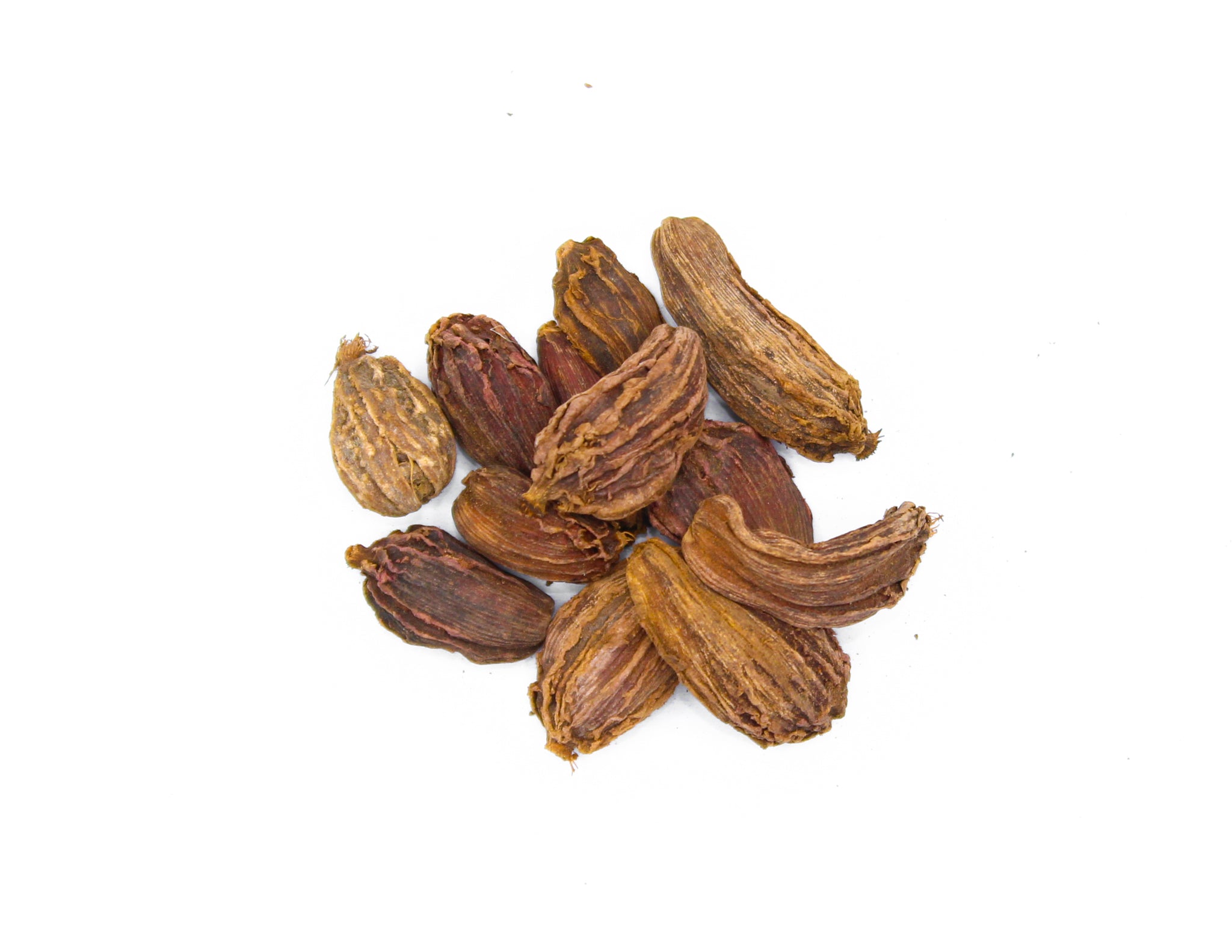 Black Cardamom Whole, Badi Elaichi, Kali Elaichi, Amomum Subulatum, الهيل الأسود , बड़ी इलाइची , Greater Cardamom, Nepal Cardamom, Brown Cardamom, Large Cardamom, Indian Cardamom, Hill Cardamom, Winged Cardamom, Bengal Cardamom