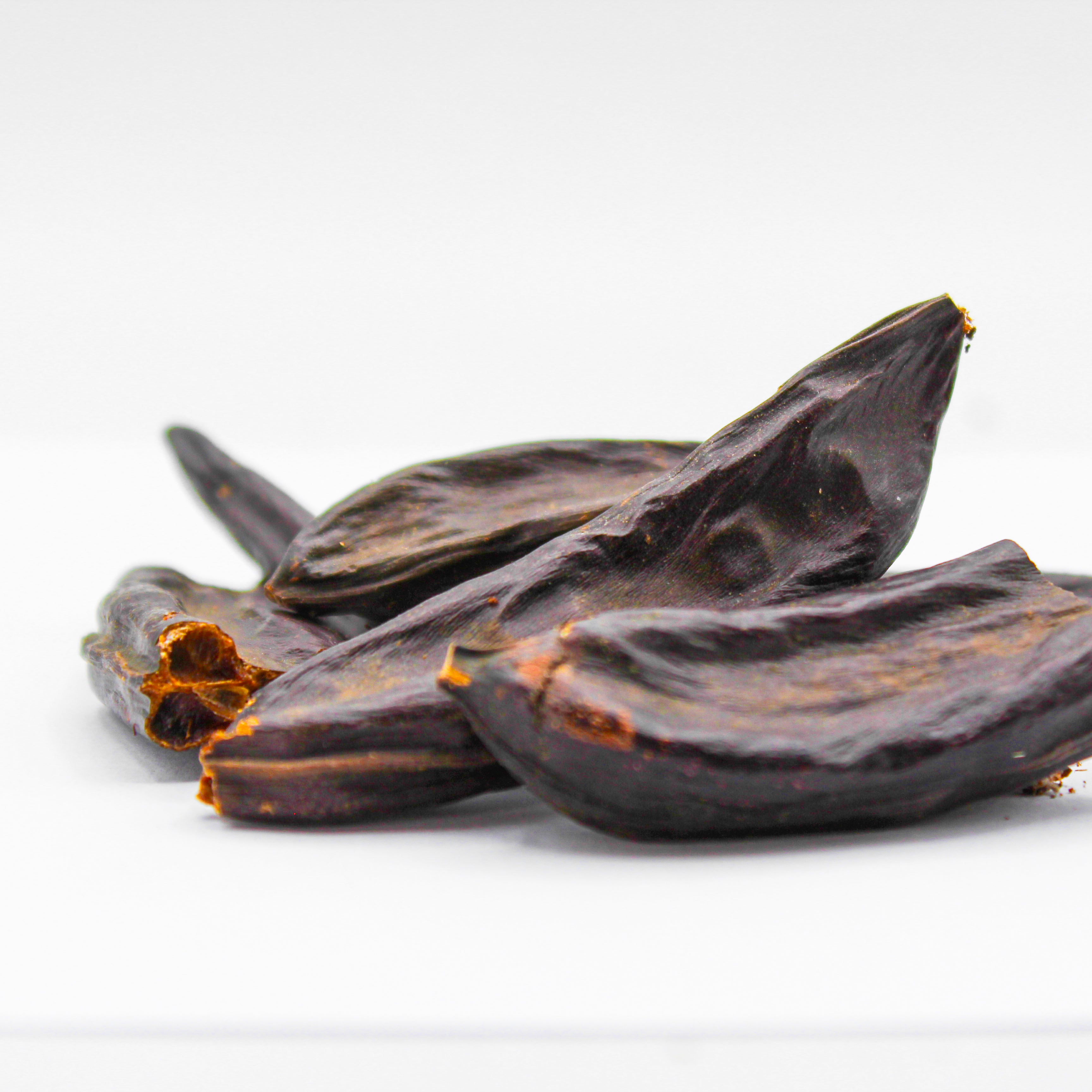 St. John's Bread, Locust Bean, Carob Tree, Ceratonia siliqua, Algarrobo, Locust Pods, Sugar Pods