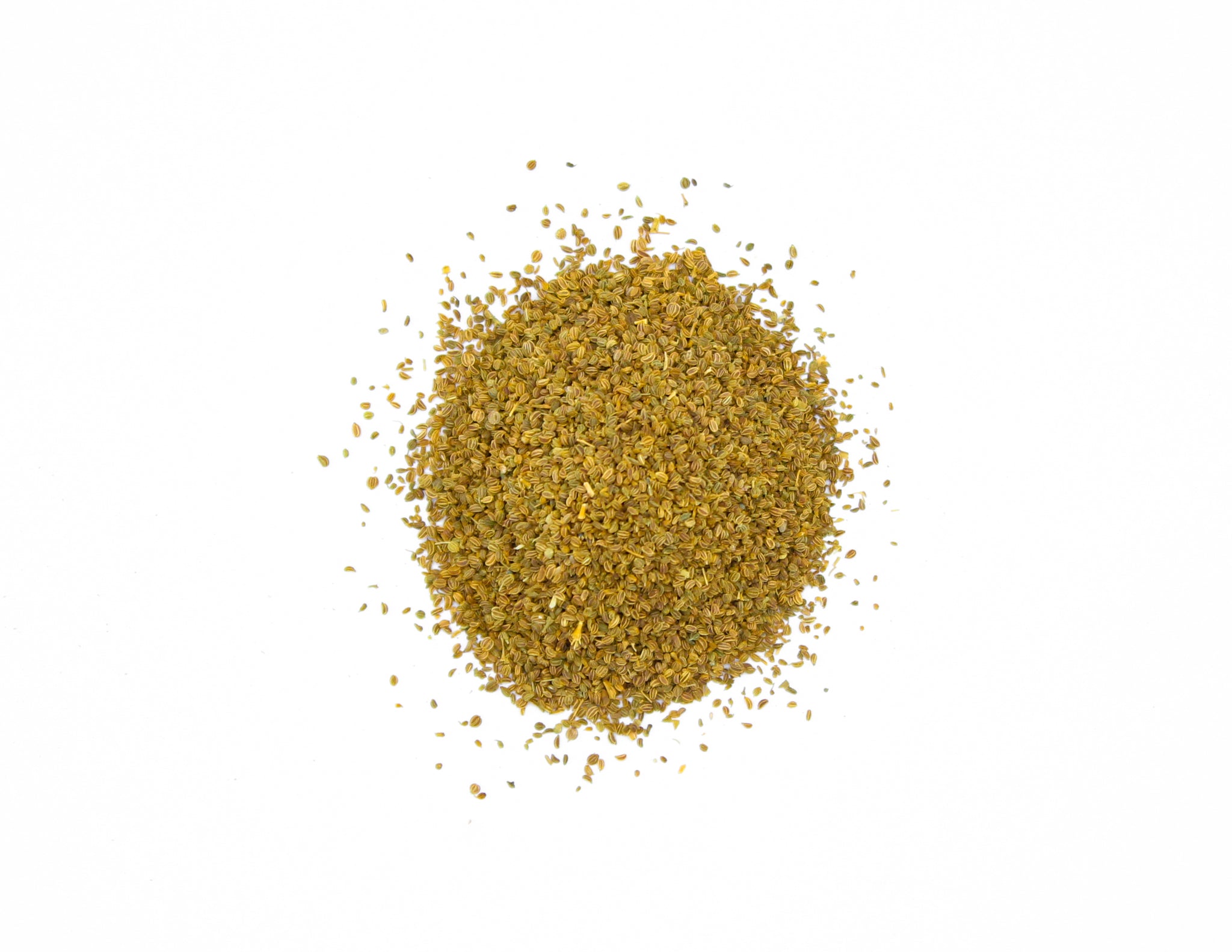 Celery Seeds, Apium graveolens, Smallage seeds, Wild celery seeds, Celery fruit, Garden celery seeds