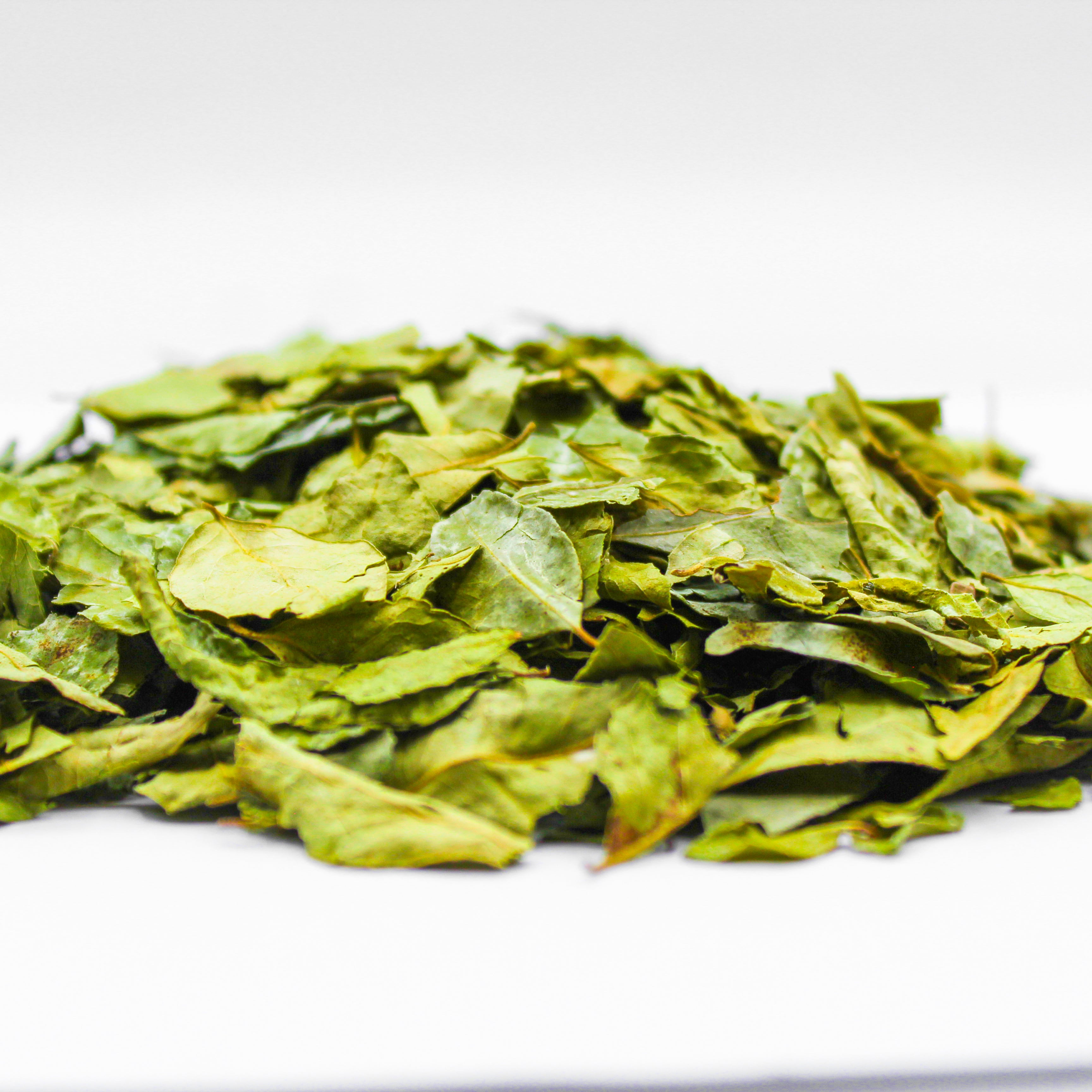 Curry Leaves