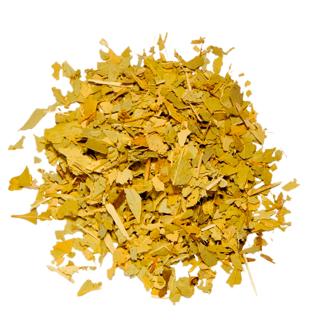 Tilaparna, Neelgiri, Blue Gum Tree, Sugandhapatra, Tribhandi, Nishotraa,&nbsp;الأوكالبتوس,&nbsp;Gum Trees, أوراق شجرة الكينا,&nbsp;Gum tree foliage, bush mint leaves, Australian gum leaves, koala snacks, Down Under herbal greens, eucalyptus foliage, gum leaf foliage, blue gum leaves, Tasmanian blue gum foliage, jarrah leaves, mallee leaves, ironbark foliage, stringybark leaves, peppermint gum foliage, lemon-scented gum leaves, spotted gum foliage, tallowwood leaves, blackbutt foliage, forest gum leaves, mou