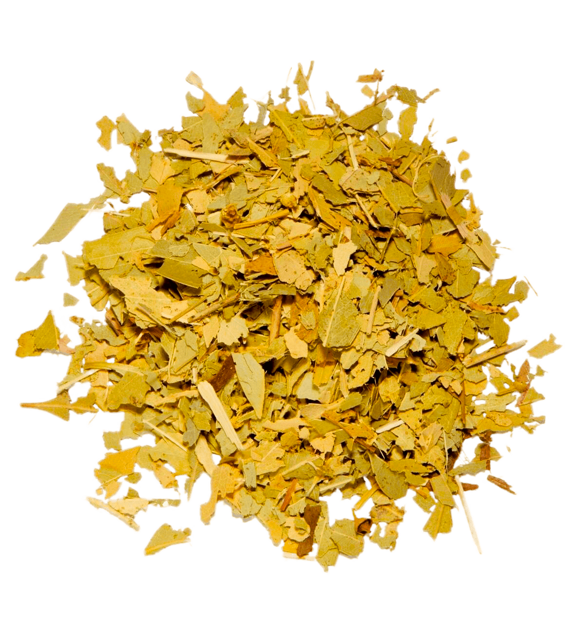 Tilaparna, Neelgiri, Blue Gum Tree, Sugandhapatra, Tribhandi, Nishotraa,&nbsp;الأوكالبتوس,&nbsp;Gum Trees, أوراق شجرة الكينا,&nbsp;Gum tree foliage, bush mint leaves, Australian gum leaves, koala snacks, Down Under herbal greens, eucalyptus foliage, gum leaf foliage, blue gum leaves, Tasmanian blue gum foliage, jarrah leaves, mallee leaves, ironbark foliage, stringybark leaves, peppermint gum foliage, lemon-scented gum leaves, spotted gum foliage, tallowwood leaves, blackbutt foliage, forest gum leaves, mou