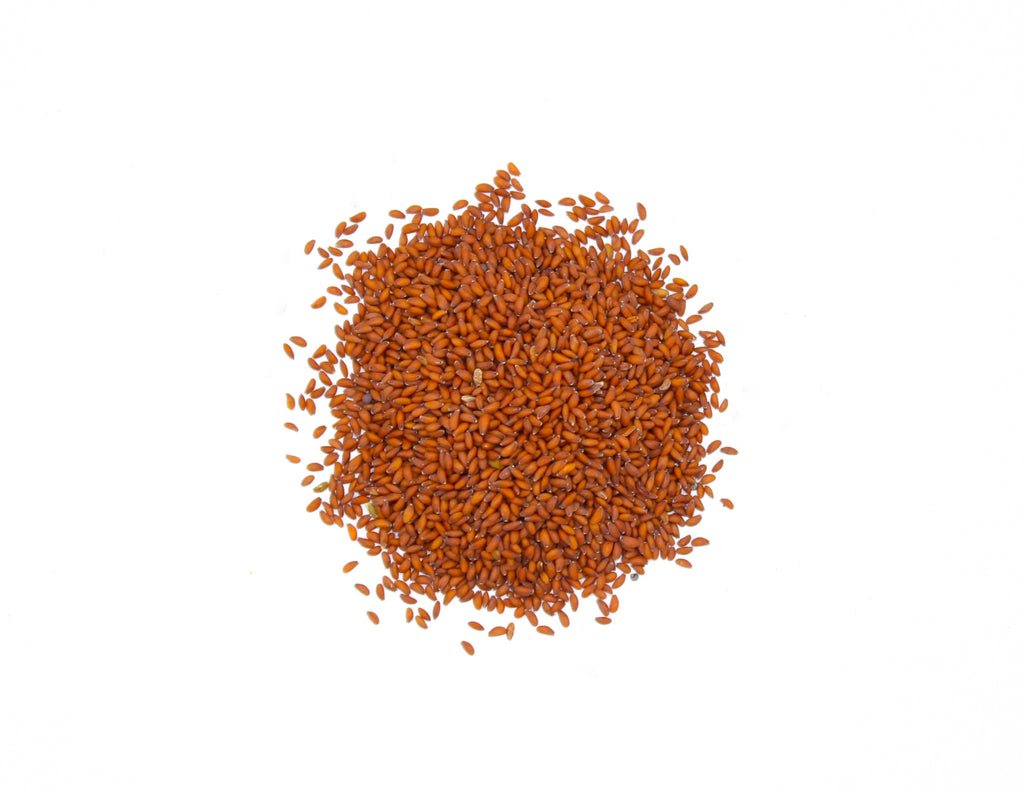 Halim, Aliv, Asario, Chansur, Chandrika, Cresson, Pepper Grass, Mustard and Cress, Poor Man's Pepper, Wart Cress, Tongue Grass, Garden Pepper Cress, Lepidium