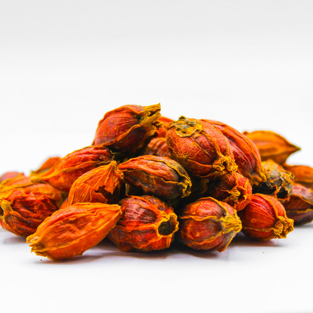 danh-danh, cape jessamine fruit, chija, cape jasmin,&nbsp;Zhī zi,&nbsp;栀子 ,&nbsp;فاكهة الغردينيا,&nbsp;Gardeniae Fruit, Zhi Zi, Cape Jasmine Fruit, Fructus Gardeniae, Shan Zhi Zi, Gardenia jasminoides fruit, Gardenia fruit