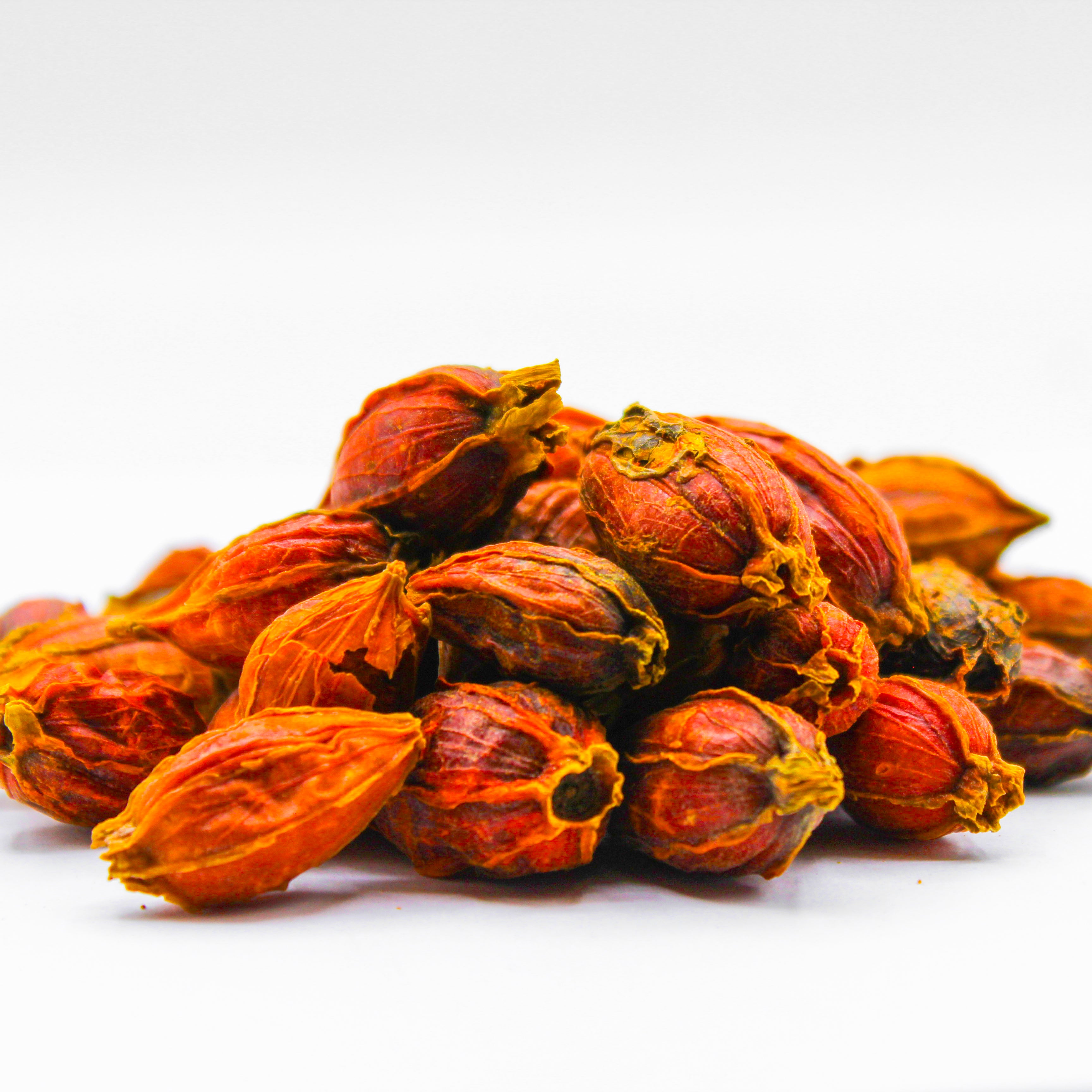 danh-danh, cape jessamine fruit, chija, cape jasmin,&nbsp;Zhī zi,&nbsp;栀子 ,&nbsp;فاكهة الغردينيا,&nbsp;Gardeniae Fruit, Zhi Zi, Cape Jasmine Fruit, Fructus Gardeniae, Shan Zhi Zi, Gardenia jasminoides fruit, Gardenia fruit