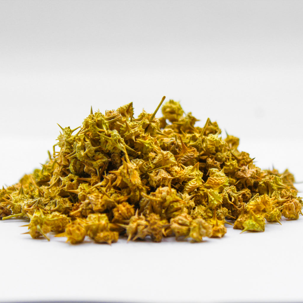 goksura, tribulus, land-caltrops, gokharu, cat's head, croix de chevalier, dars elaguz, nature's viagara, nerinjil, naalkhar, herbe terrestre, espaakh,&nbsp;جوكشورا,&nbsp;Goksura fruit, Gokshura fruit, Tribulus fruit, Puncturevine fruit, Devil's thorn fruit, Bindii fruit, Caltrop fruit, Goathead fruit, Small caltrops fruit, Gokharu fruit, Bhakhdi fruit, Nerinjil fruit, Baiji fruit, Puncture vine fruit, Yellow vine fruit, Bulgarian tribulus fruit, Cat's head fruit