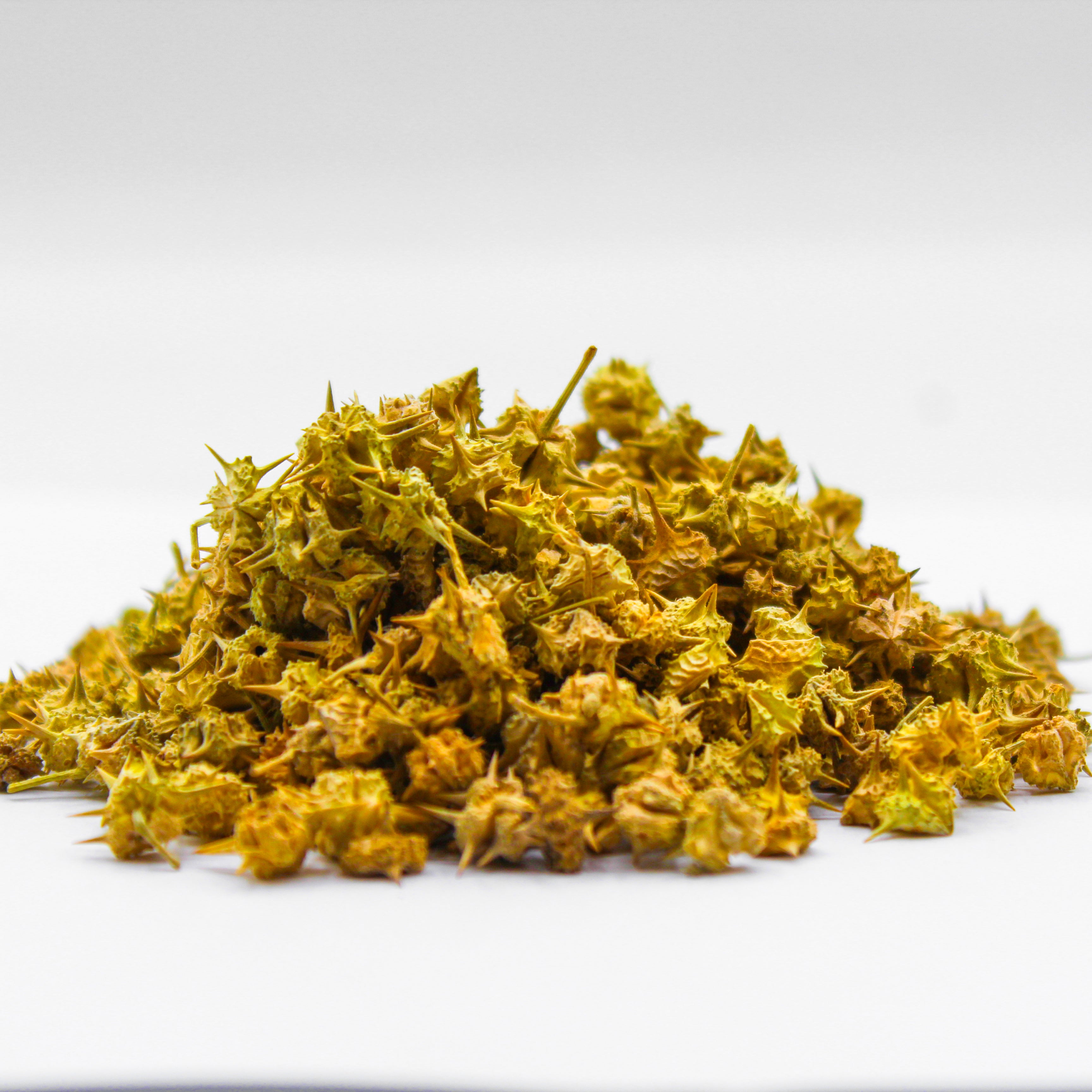 goksura, tribulus, land-caltrops, gokharu, cat's head, croix de chevalier, dars elaguz, nature's viagara, nerinjil, naalkhar, herbe terrestre, espaakh,&nbsp;جوكشورا,&nbsp;Goksura fruit, Gokshura fruit, Tribulus fruit, Puncturevine fruit, Devil's thorn fruit, Bindii fruit, Caltrop fruit, Goathead fruit, Small caltrops fruit, Gokharu fruit, Bhakhdi fruit, Nerinjil fruit, Baiji fruit, Puncture vine fruit, Yellow vine fruit, Bulgarian tribulus fruit, Cat's head fruit