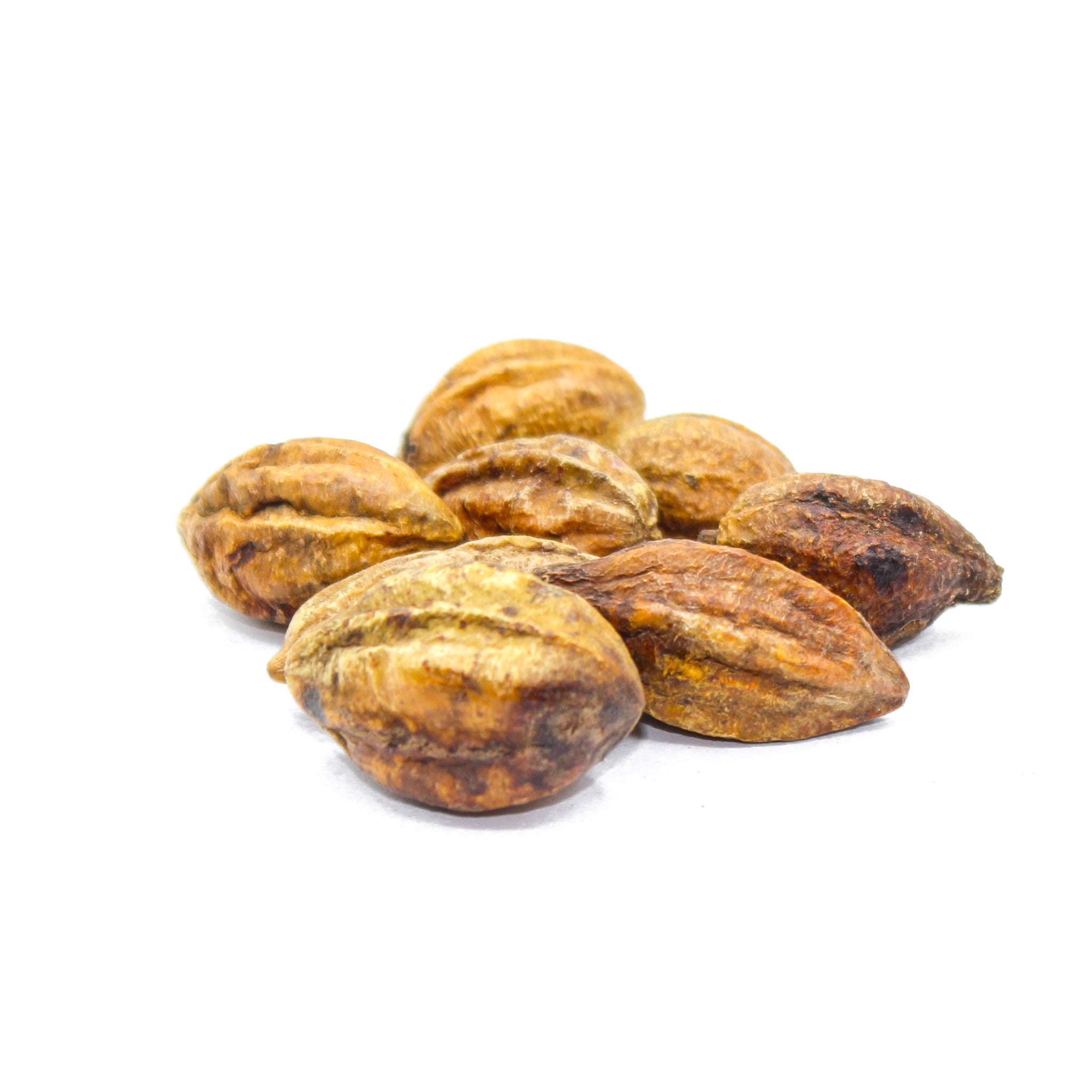 Terminalia Chebula, Haritaki, Harada, Chebulic Myrobalan, Kadukkai, Ink Nut, हरड़, 哈爾特其 (Hā'ěrtèqí), Harde