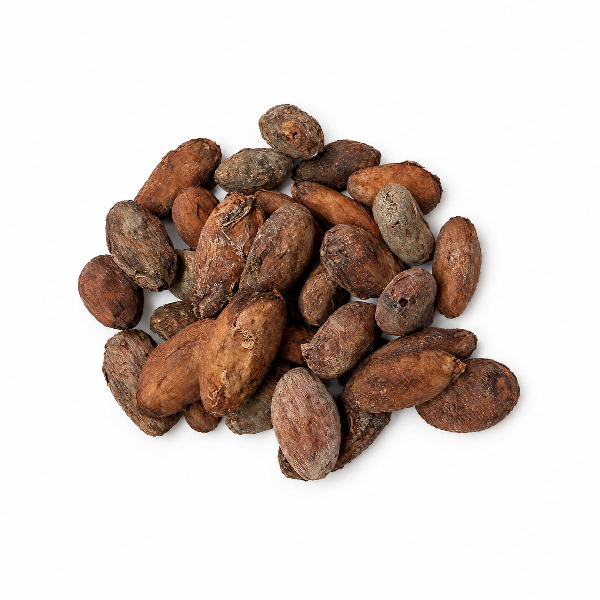 Organic Raw Cacao Beans