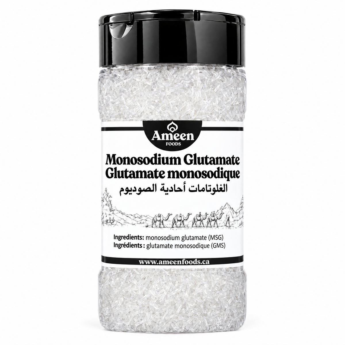 Monosodium Glutamate (MSG)