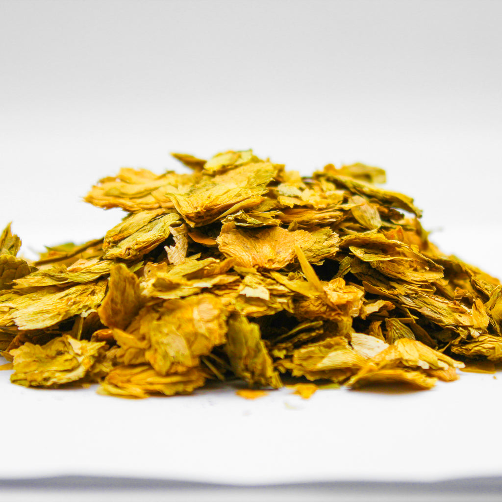 Hops flower, Humulus lupulus, Hopfen, Houblon, Lupulo, Lúpulo, Houblon commun, Humle, Omoa, Ombú, Bine, Vřes, Chmel, Chmiel, Szőlőcserje, Luppolo, Humulus, Chmiel zwyczajny, Šišák chmelový, Kvindehan, Wilder Hopfen, Хмель, Hmelyu, Хмел, Hopfenblüte, and Yabani şerbetçiotu,&nbsp;Willow wolf, Common Hops, Lupulo, Hopfen, Houblon ,&nbsp;زهرة القفزات,&nbsp;گل رازک