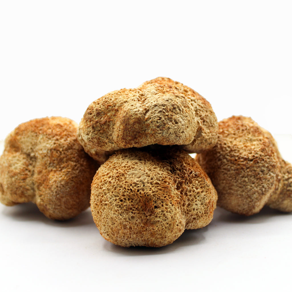 Lion's Mane Mushroom