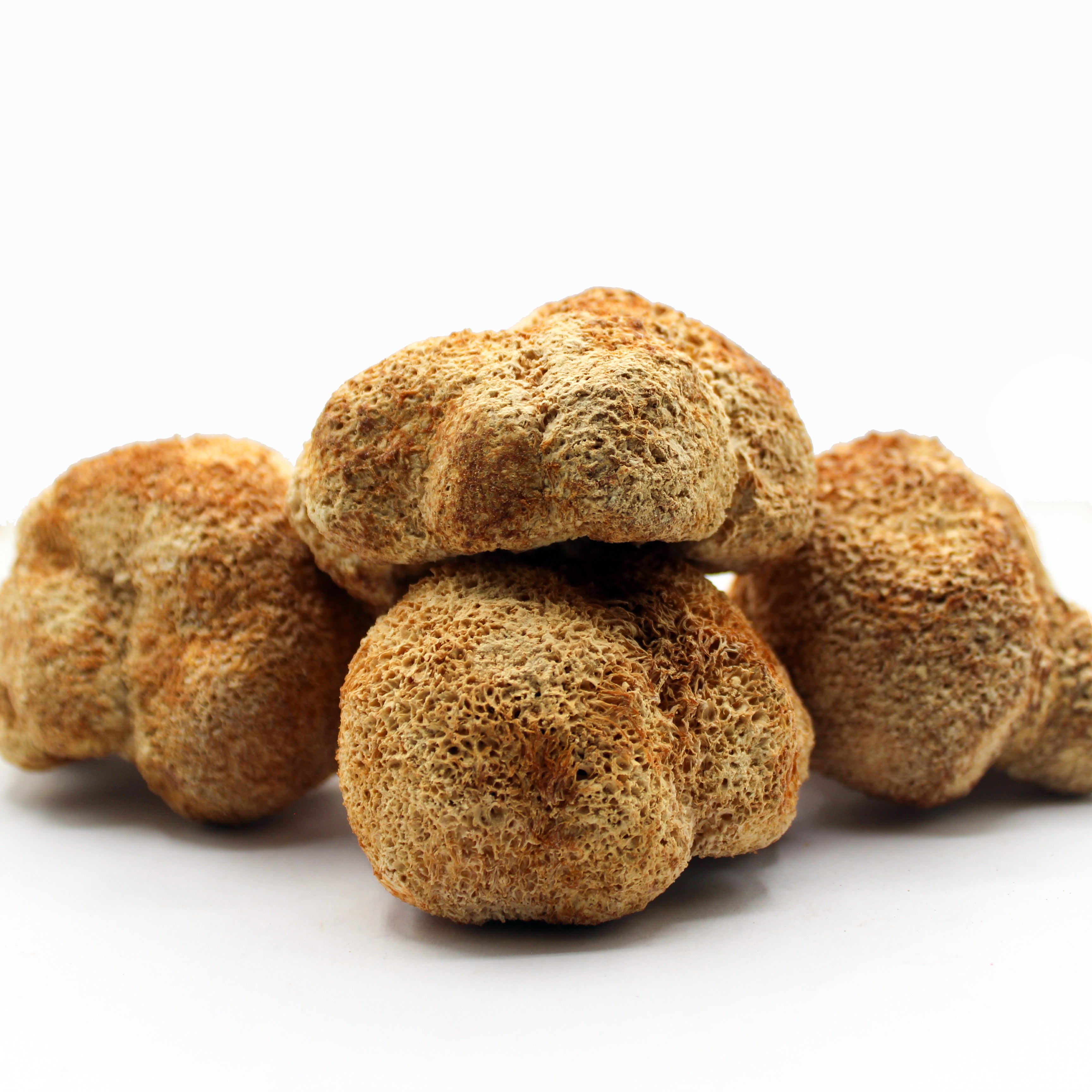 Lion's Mane Mushroom