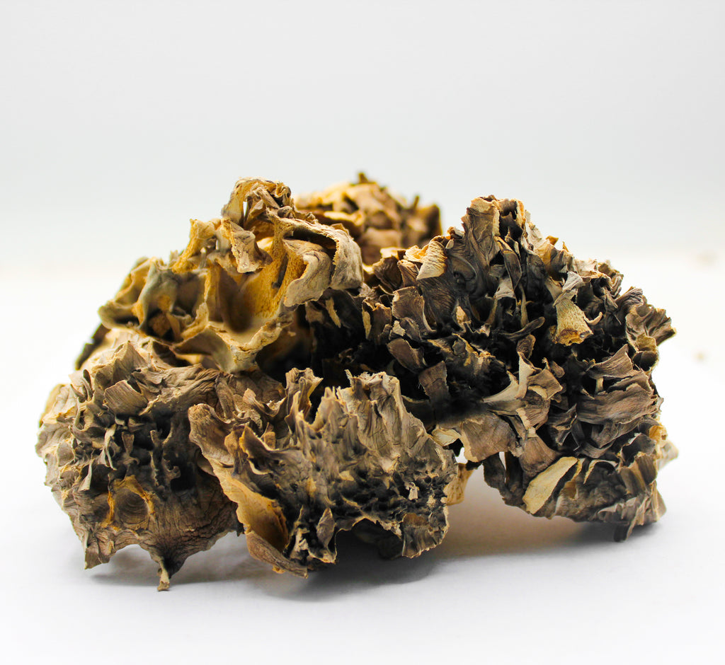 Maitake Mushroom