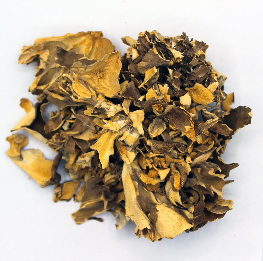 Maitake Mushroom