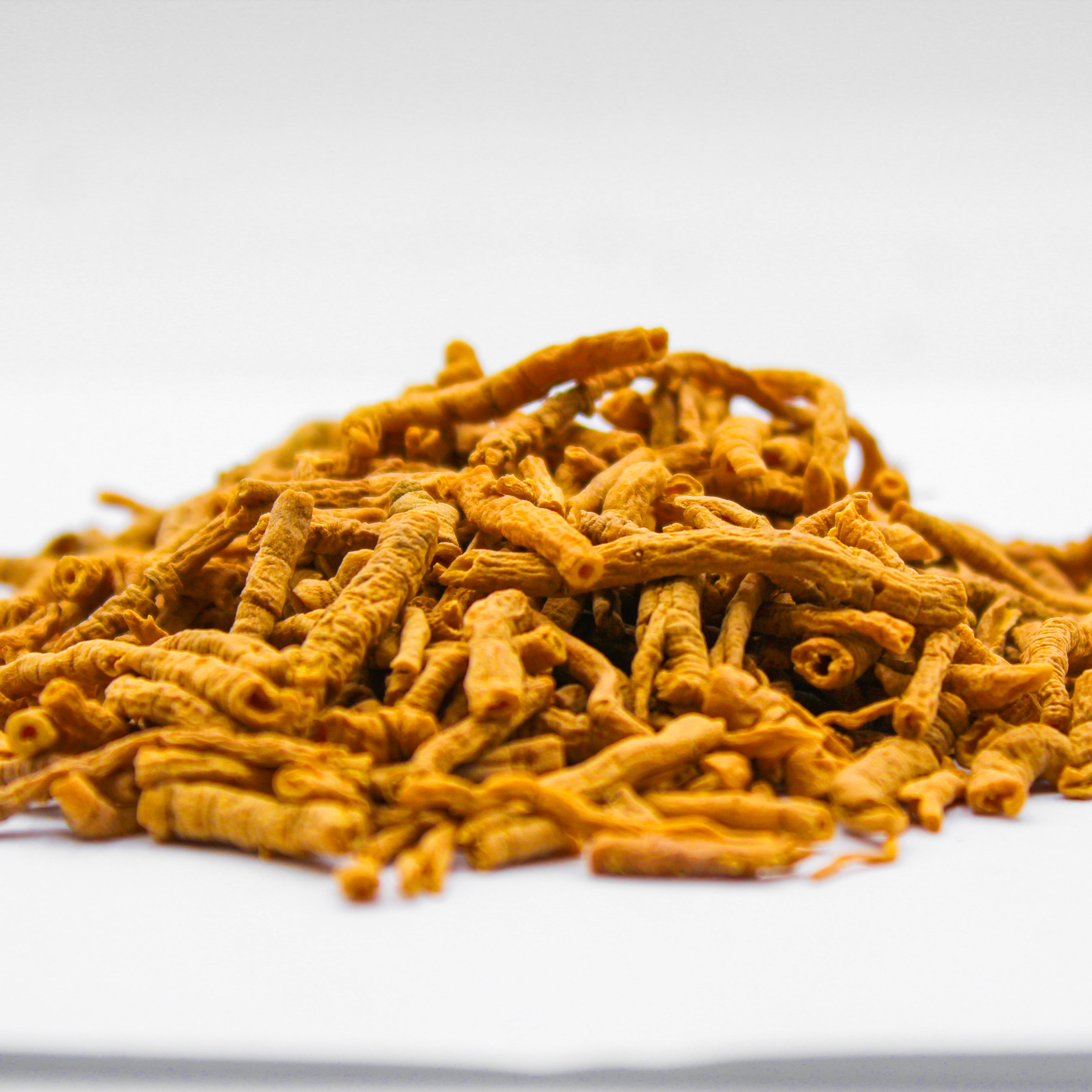 Botanical Name: Polygala tenuifolia
Common Names: Milkwort Root, Radix Polygalae, Yuan Zhi, Seneca Snakeroot, Chinese Senega, Thinleaf Milkwort, Polygala Root, Polygala Senega, Chinese Senega Root, Polygalae Radix, Evergreen Snakeroot, Flowering Wintergreen, Little Pollom, European Bitter Polygala, and Snakeroot.