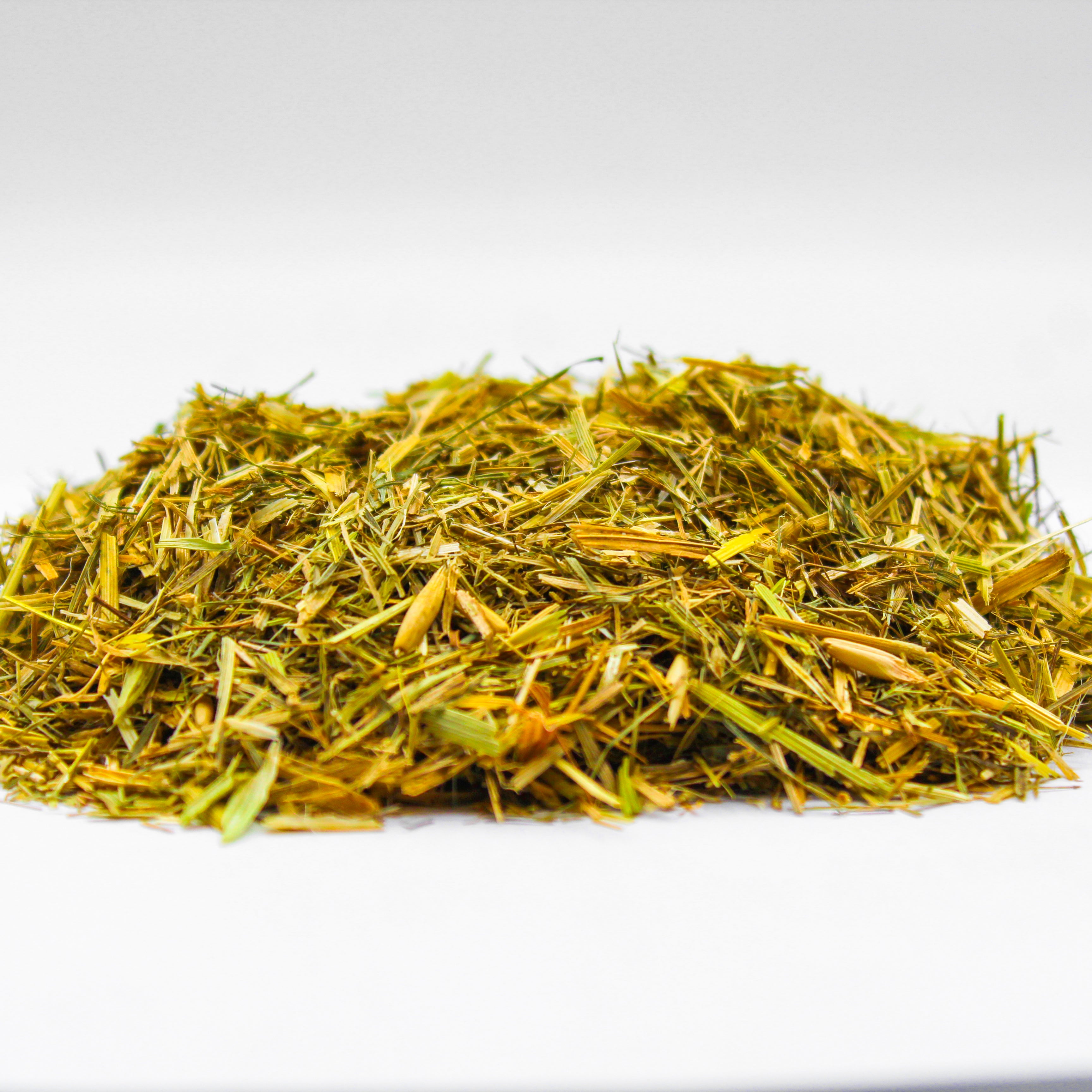 Botanical Name: Avena sativa
Common Names: Oatstraw Herb, Avena, Oatgrass, Common Oat, Green Oats, Oat Tops, Wild Oat Herb, Groats, Oat Stems, Sult