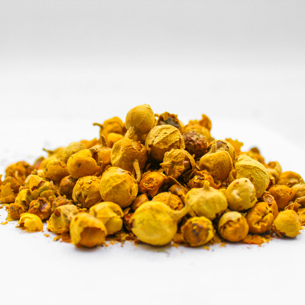 Botanical Name: Withania coagulans
Common Names: Paneer Dodi, Indian Rennet, Rennet Apple, Paneer Phool, Paneer Ke Phool, Paneerbooti, Paneerbuti, Bhui-Kakara, Bhukakar, Khirk, Dodi, Donda Khar, Kuarphool, Indian Cheese Rennet, Vegetable Rennet