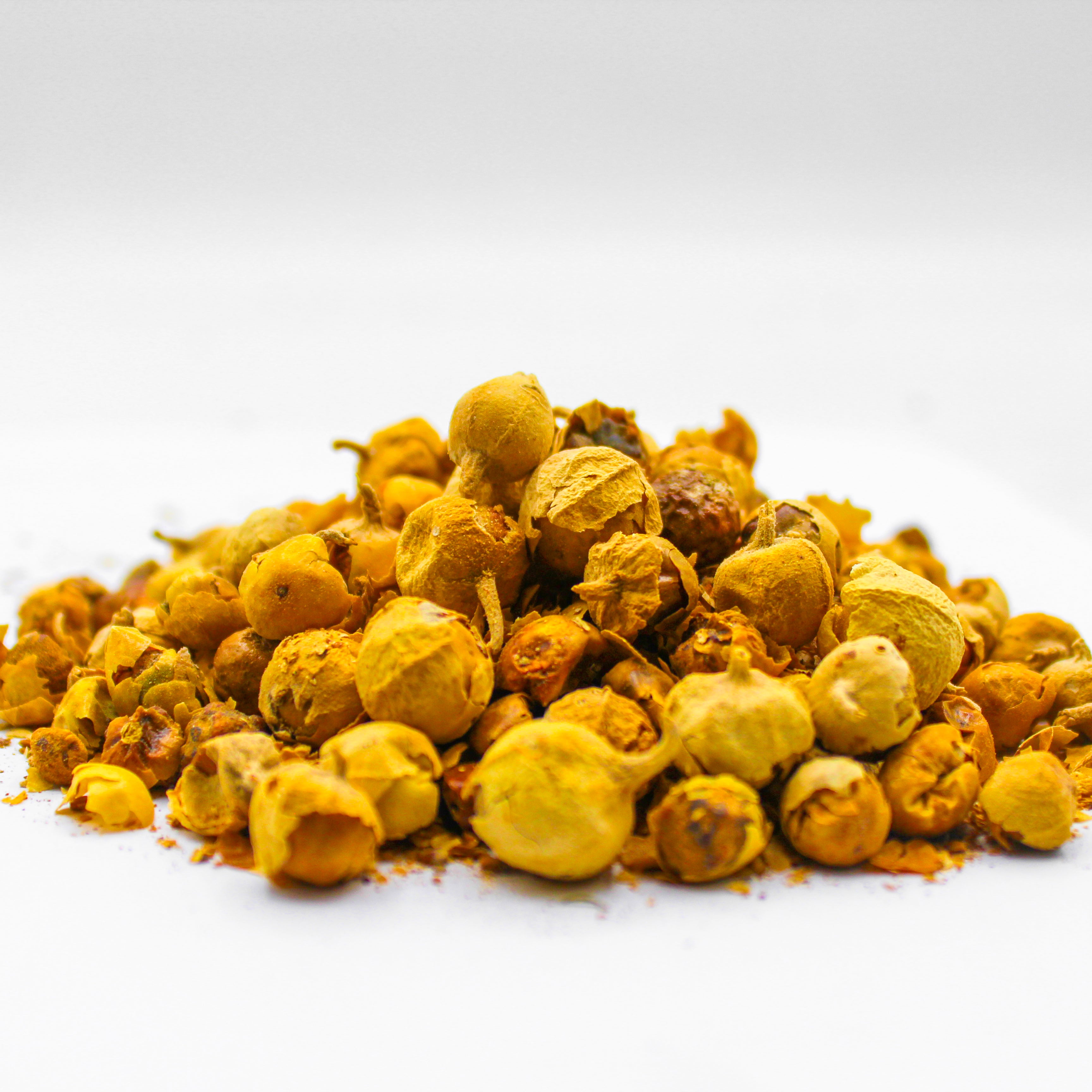 Botanical Name: Withania coagulans
Common Names: Paneer Dodi, Indian Rennet, Rennet Apple, Paneer Phool, Paneer Ke Phool, Paneerbooti, Paneerbuti, Bhui-Kakara, Bhukakar, Khirk, Dodi, Donda Khar, Kuarphool, Indian Cheese Rennet, Vegetable Rennet