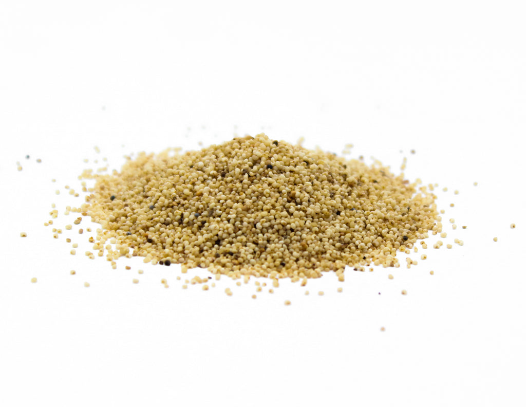 Poppy Seeds White, Graines de Pavot Blanc, White Poppy, Weiße Mohnsamen, Graines de Pavot Blanc, Semillas de Amapola Blanca, 白ケシの種, بذور الخشخاش الأبيض