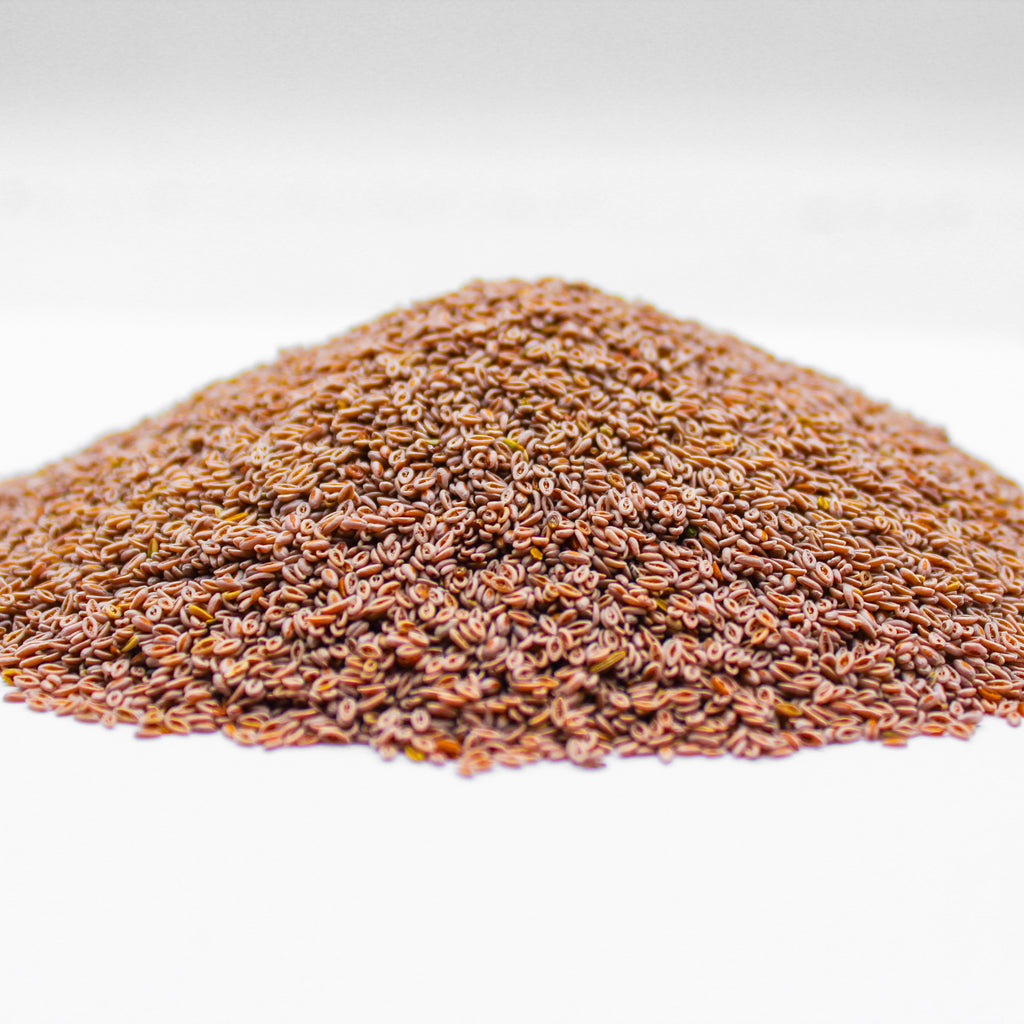 Psyllium Seeds, Botanical Name: Plantago ovata
Common Names: Blond Plantain, Desert Indian Wheat, Blond Psyllium, Ispaghula, Isabgol, Flea Seed, Plantago Seed, Indian Plantago Seed, Bazaar Isabgol Seed, Desert Indianwheat Seed.