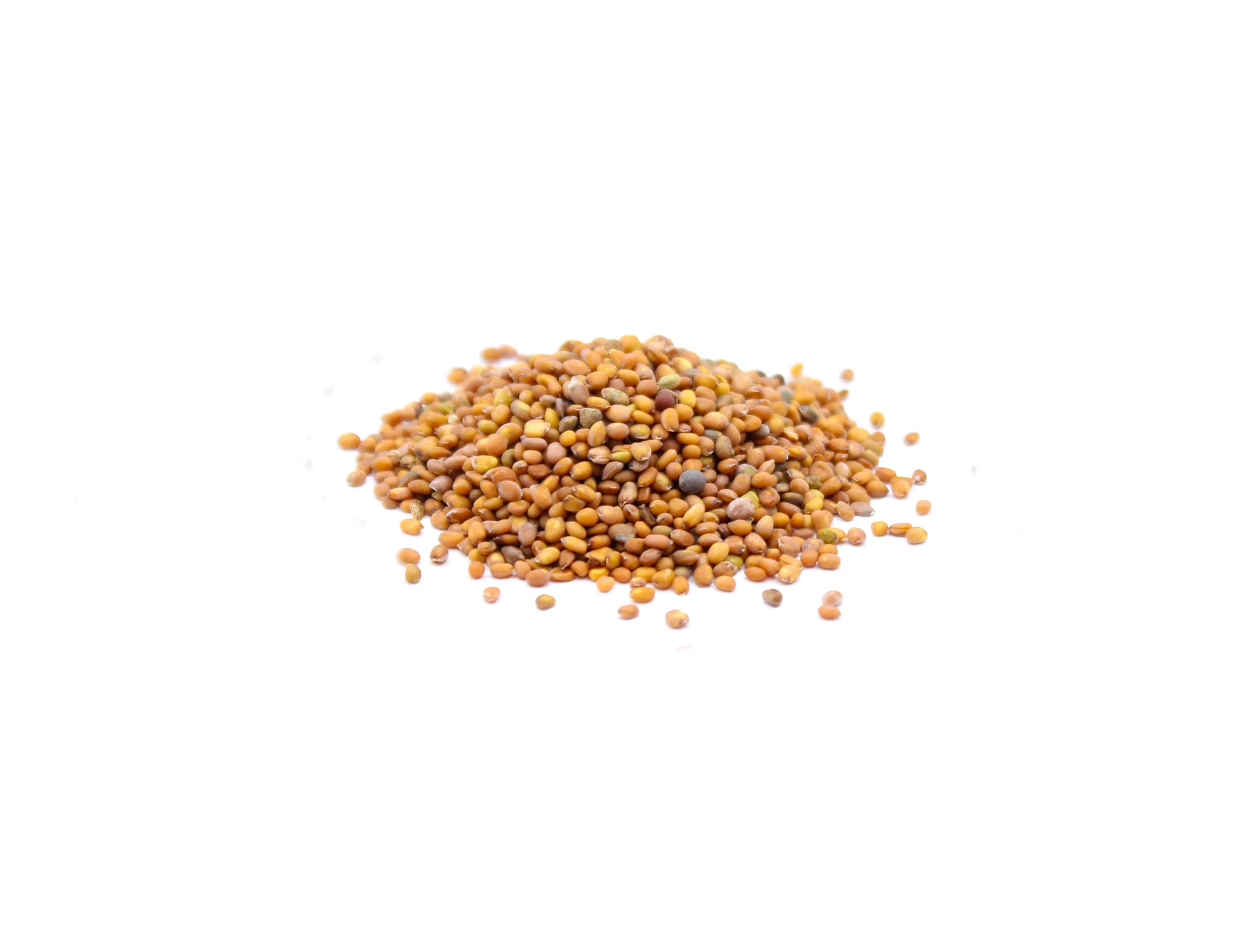 Jamba Seeds, Rocket Seeds, Arugula Seeds, Roquette Seeds, Rucola Seeds, तारामीरा, جمبو