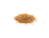 Jamba Seeds, Rocket Seeds, Arugula Seeds, Roquette Seeds, Rucola Seeds, तारामीरा, جمبو
